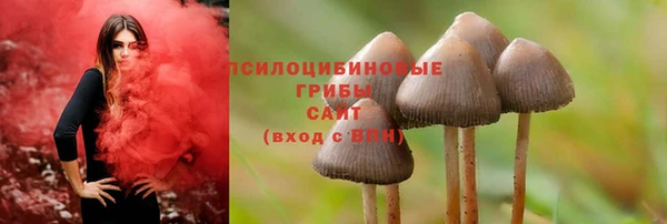 прущая мука Алексин