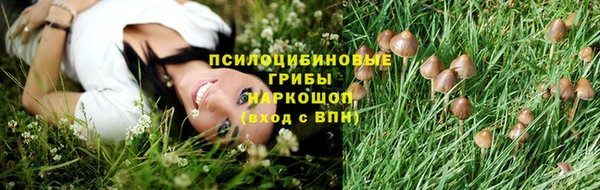 амф Алзамай