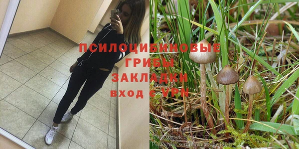 ALPHA-PVP Алексеевка