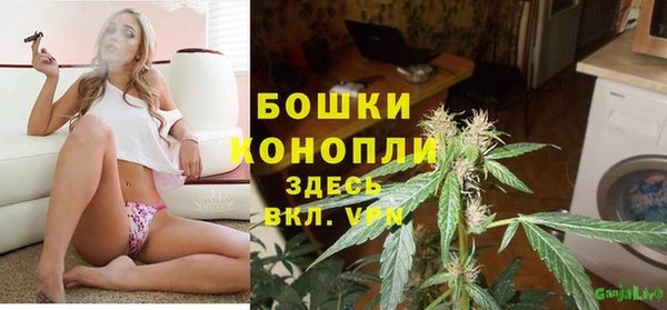 амф Алзамай