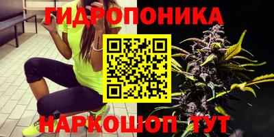 прущие крисы Пугачёв