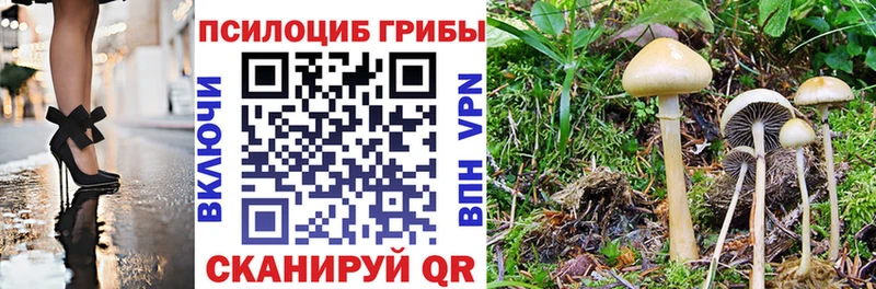 Псилоцибиновые грибы мухоморы  Тверь 