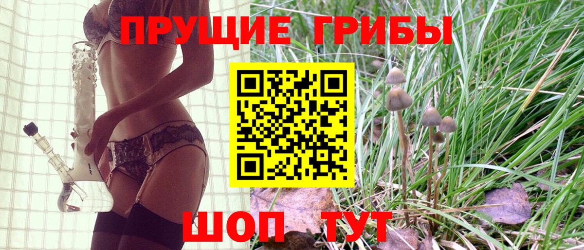 Псилоцибиновые грибы MAGIC MUSHROOMS Тверь