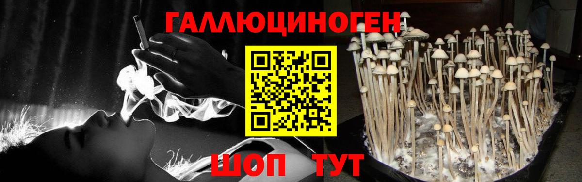 Галлюциногенные грибы Cubensis  Вход с VPN  Псилоцибиновые грибы GOLDEN TEACHER  Тверь 
